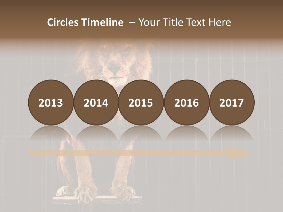 Lion Big Dangerous PowerPoint Template