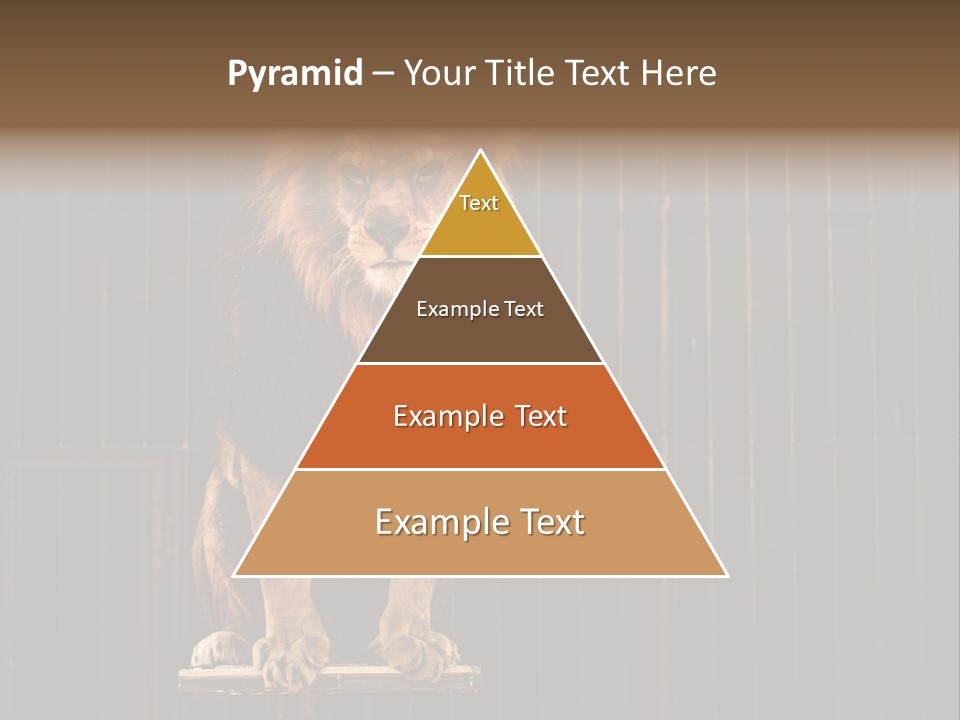 Lion Big Dangerous PowerPoint Template