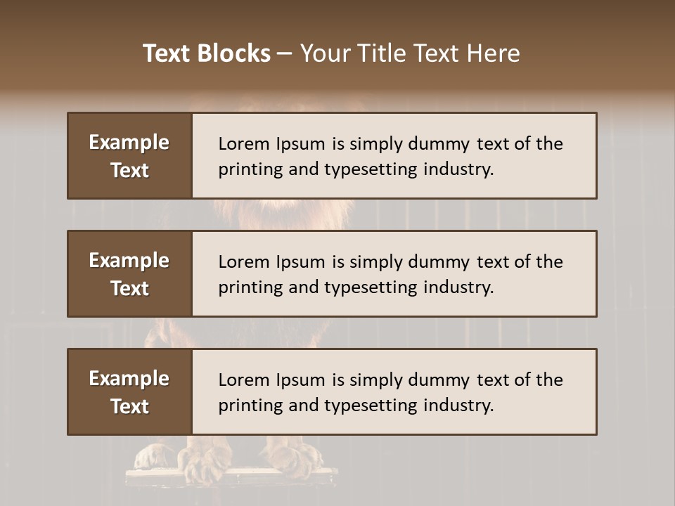 Lion Big Dangerous PowerPoint Template