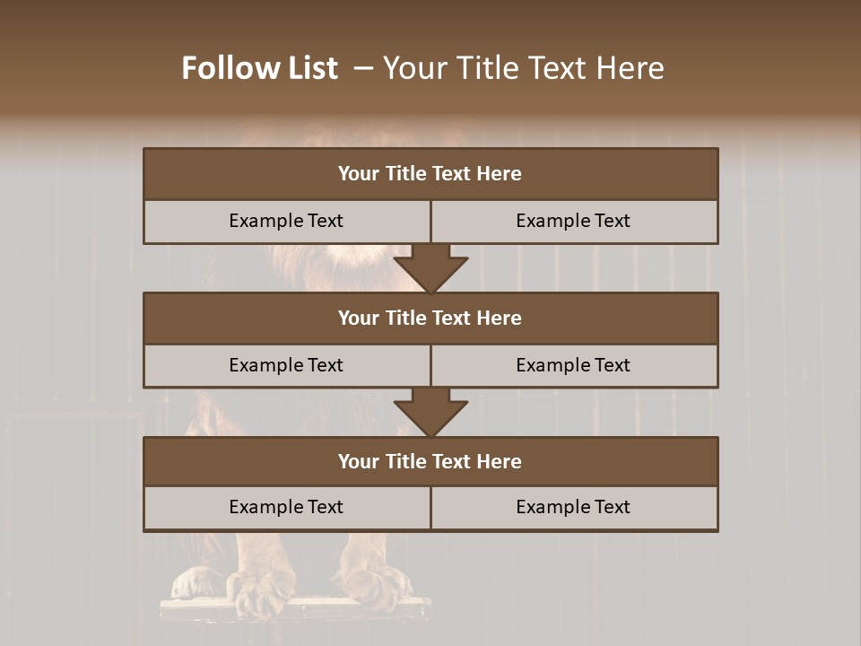 Lion Big Dangerous PowerPoint Template
