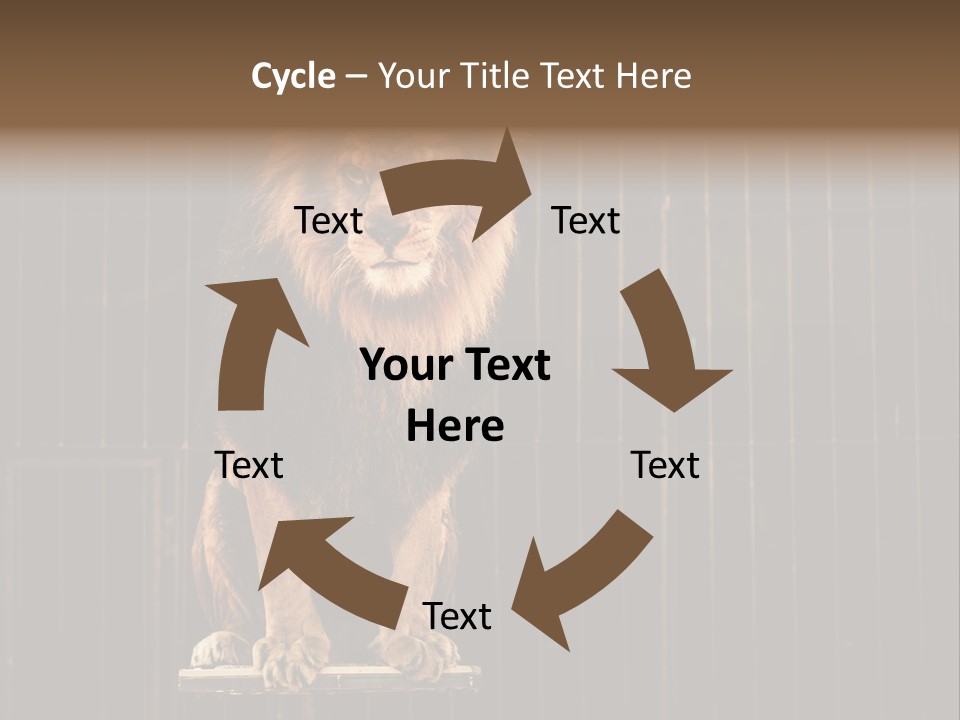 Lion Big Dangerous PowerPoint Template