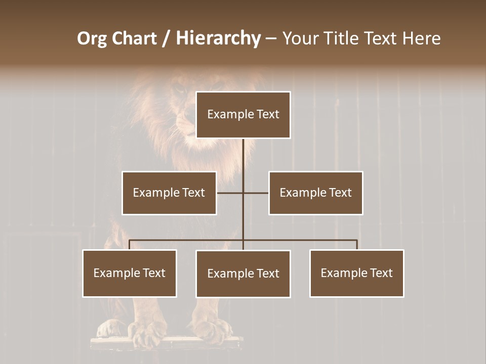 Lion Big Dangerous PowerPoint Template