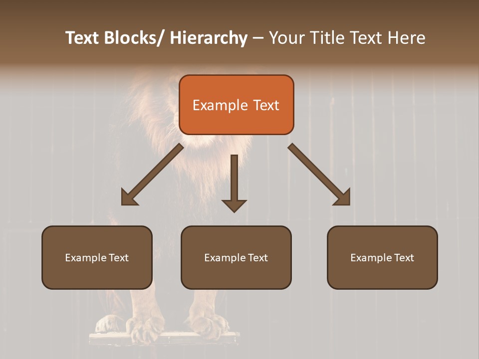 Lion Big Dangerous PowerPoint Template