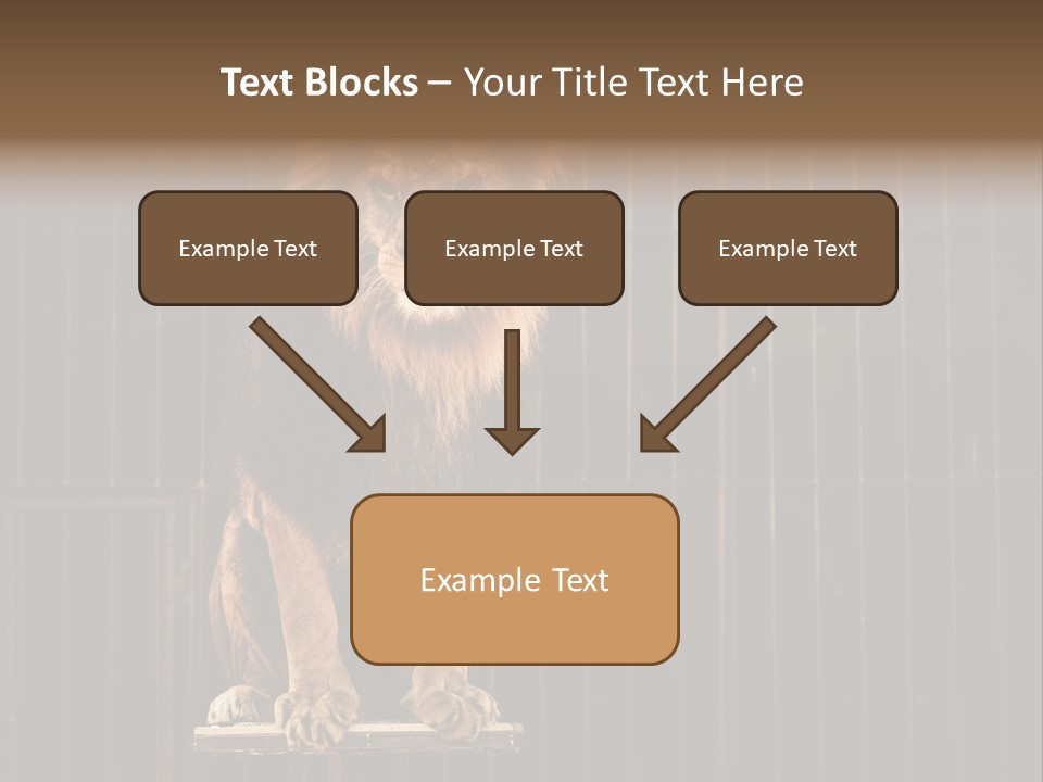 Lion Big Dangerous PowerPoint Template