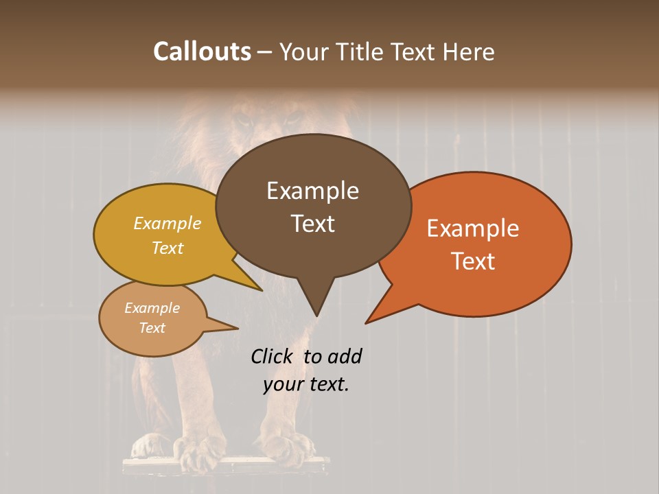 Lion Big Dangerous PowerPoint Template