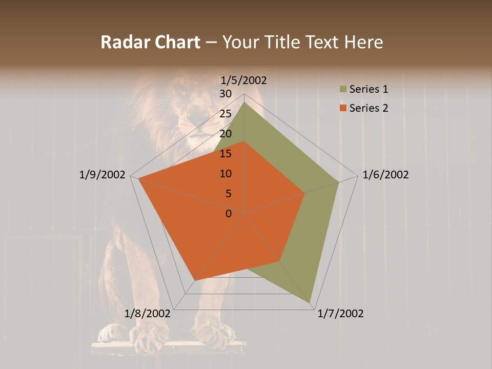 Lion Big Dangerous PowerPoint Template