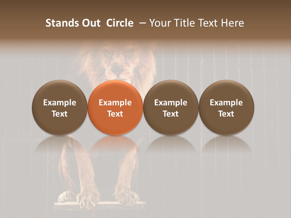 Lion Big Dangerous PowerPoint Template