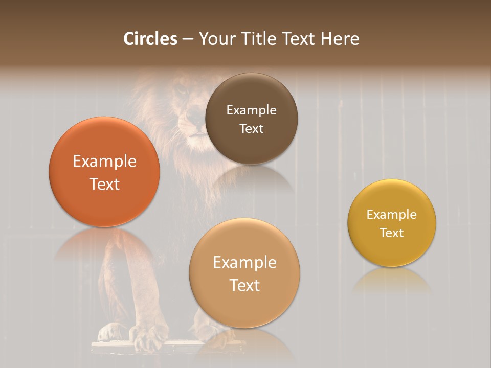 Lion Big Dangerous PowerPoint Template