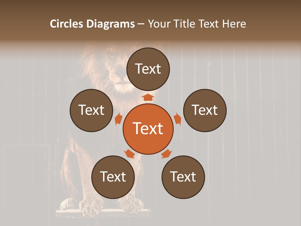 Lion Big Dangerous PowerPoint Template