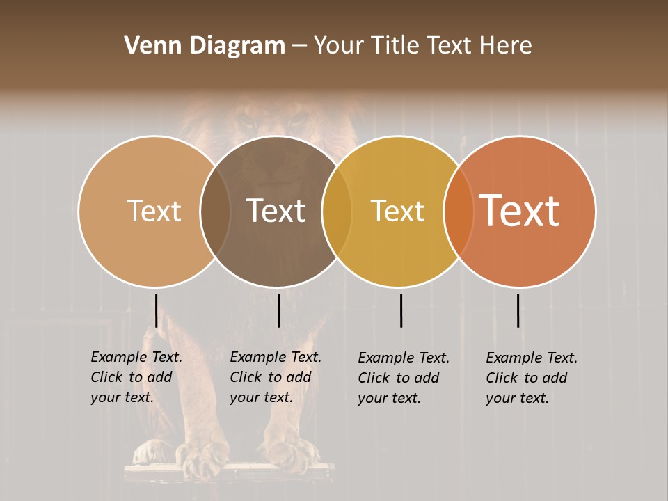 Lion Big Dangerous PowerPoint Template