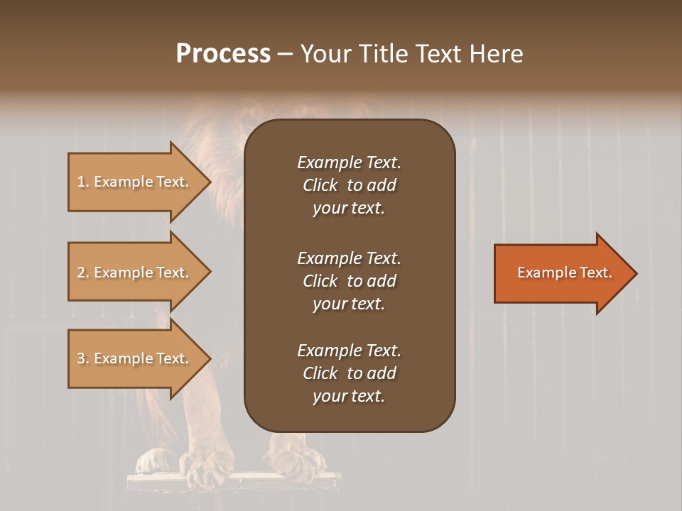 Lion Big Dangerous PowerPoint Template