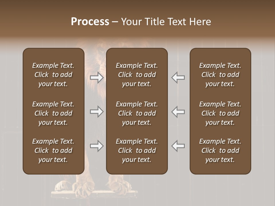 Lion Big Dangerous PowerPoint Template