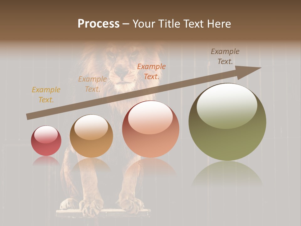 Lion Big Dangerous PowerPoint Template