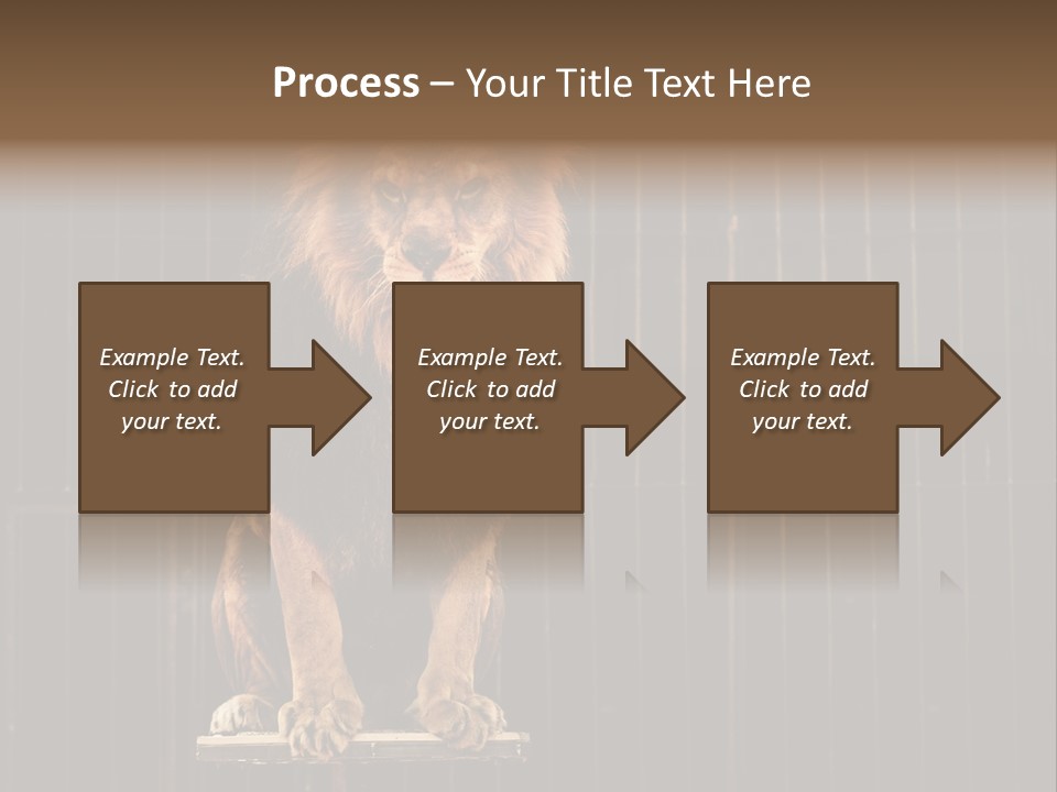 Lion Big Dangerous PowerPoint Template