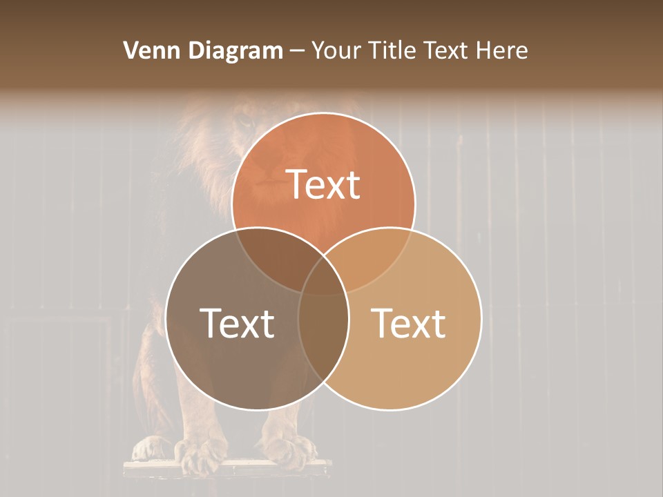 Lion Big Dangerous PowerPoint Template