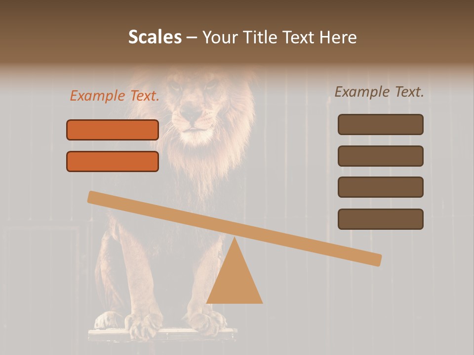 Lion Big Dangerous PowerPoint Template