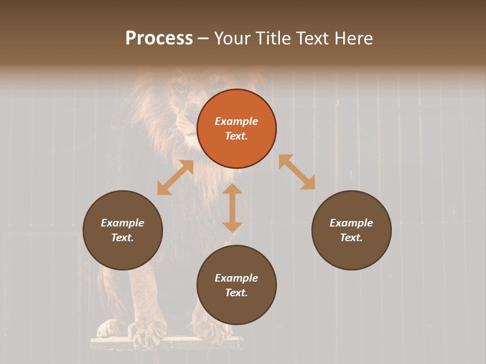 Lion Big Dangerous PowerPoint Template