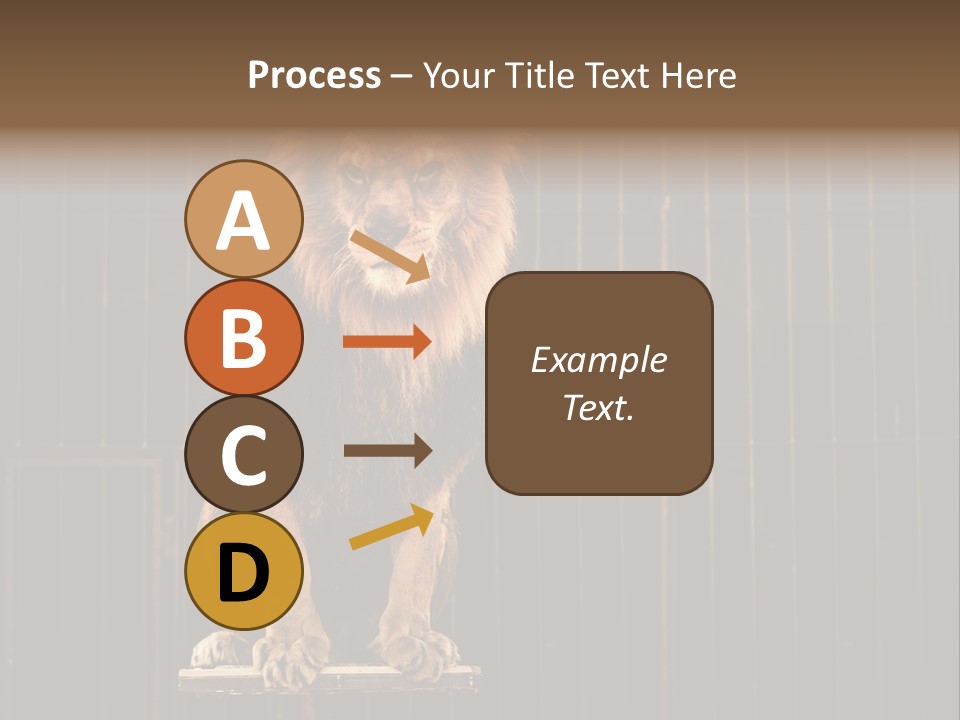 Lion Big Dangerous PowerPoint Template