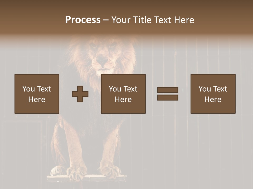 Lion Big Dangerous PowerPoint Template