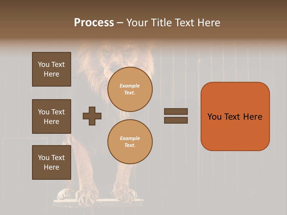 Lion Big Dangerous PowerPoint Template