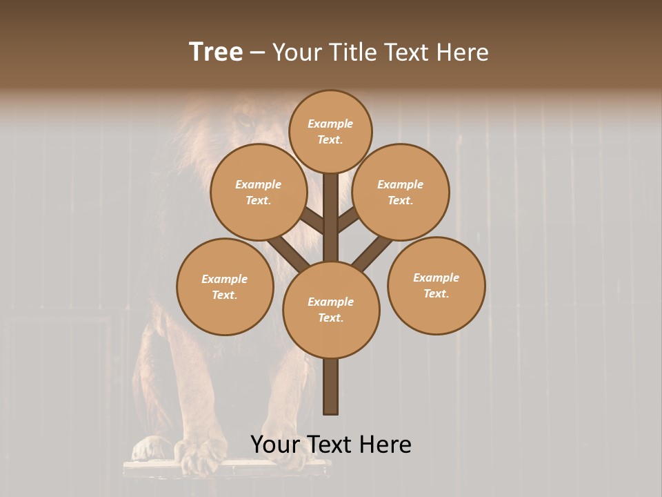 Lion Big Dangerous PowerPoint Template