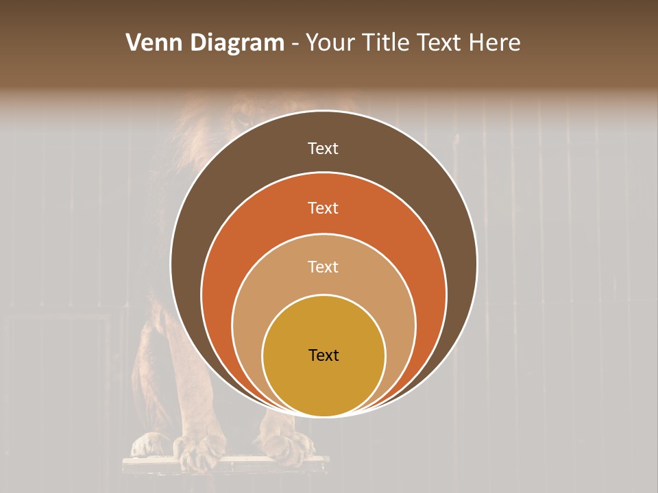 Lion Big Dangerous PowerPoint Template