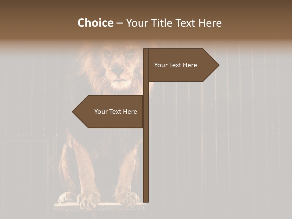 Lion Big Dangerous PowerPoint Template