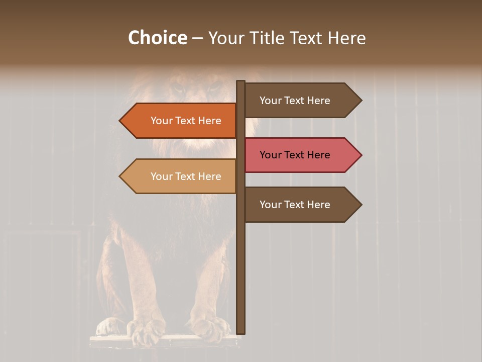 Lion Big Dangerous PowerPoint Template