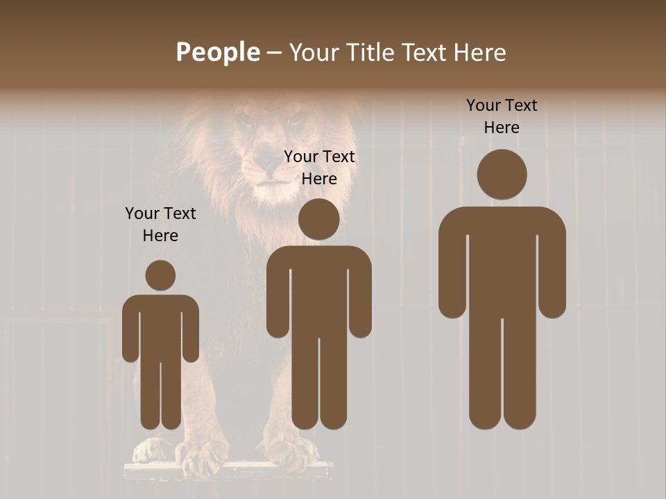 Lion Big Dangerous PowerPoint Template