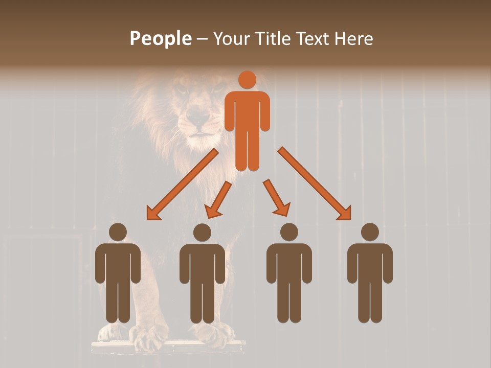 Lion Big Dangerous PowerPoint Template