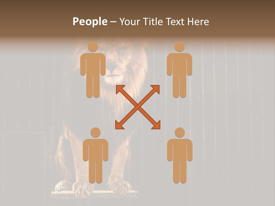 Lion Big Dangerous PowerPoint Template