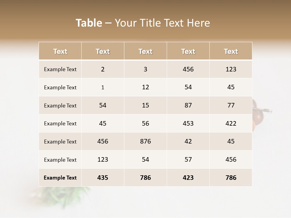 Brown Accessory Asia PowerPoint Template
