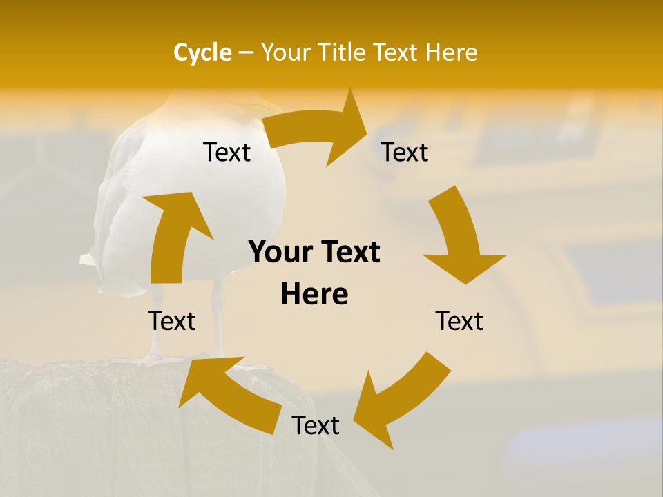 Board Chair Happy PowerPoint Template