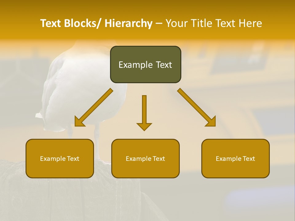 Board Chair Happy PowerPoint Template