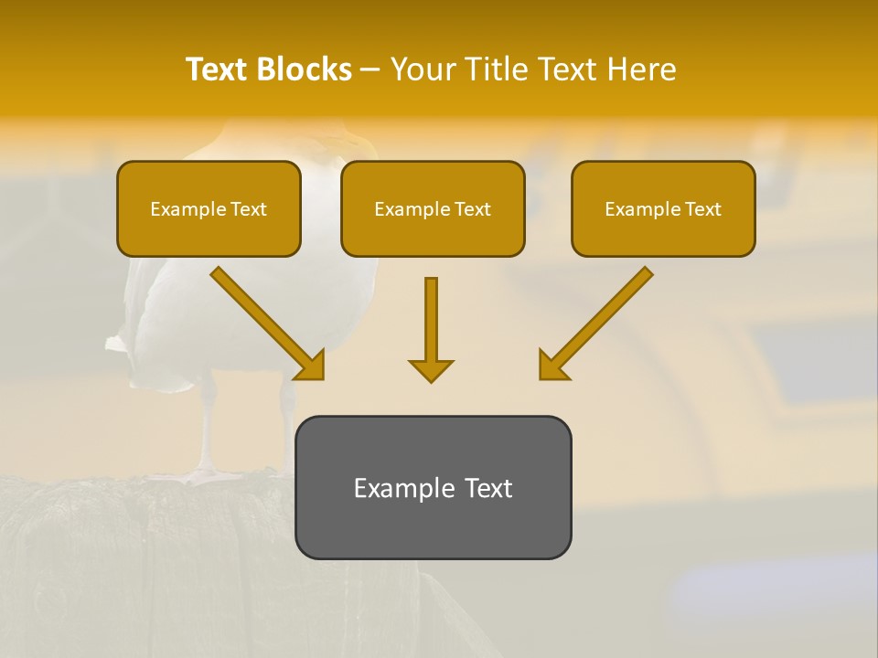 Board Chair Happy PowerPoint Template