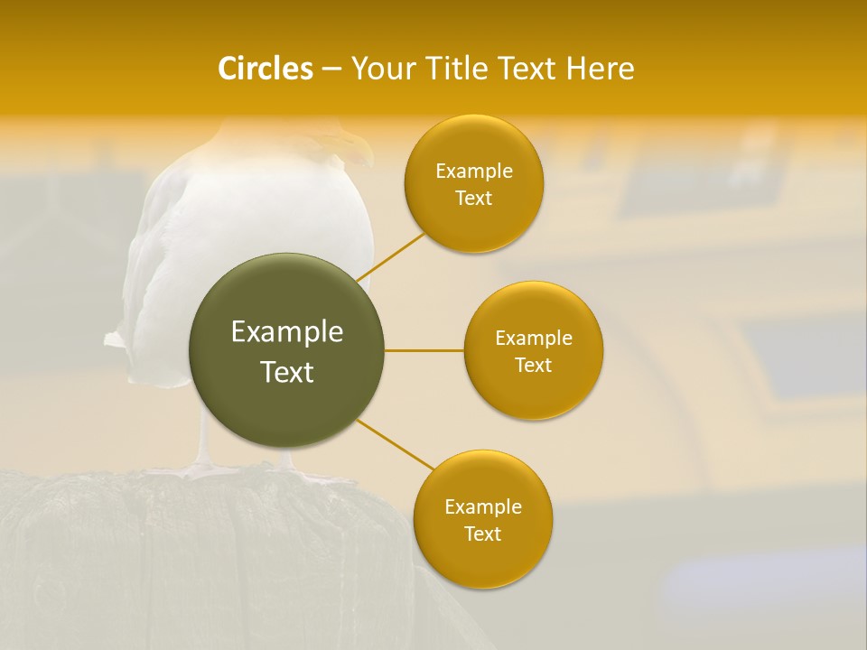 Board Chair Happy PowerPoint Template