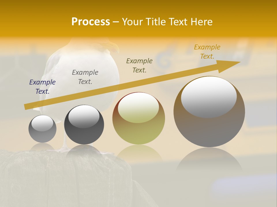 Board Chair Happy PowerPoint Template