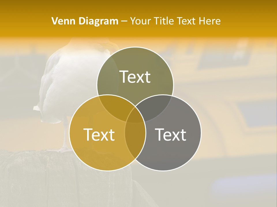 Board Chair Happy PowerPoint Template