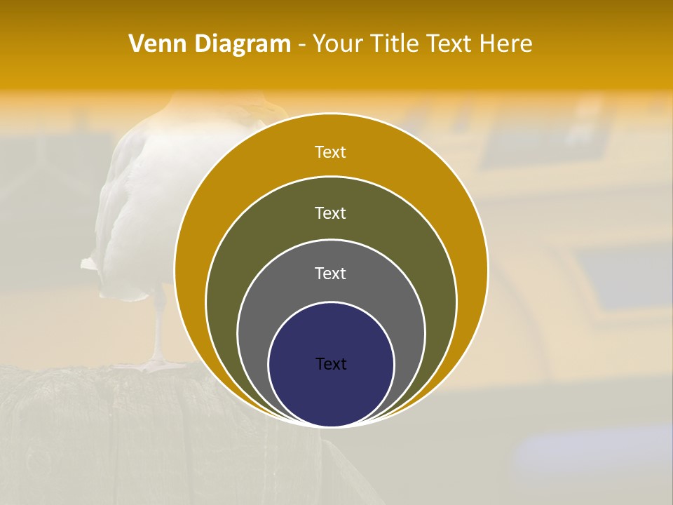 Board Chair Happy PowerPoint Template