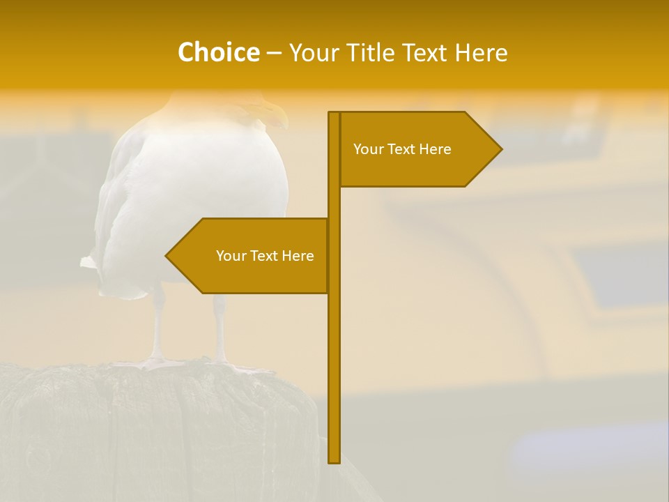Board Chair Happy PowerPoint Template