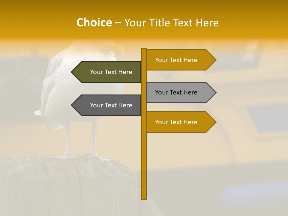 Board Chair Happy PowerPoint Template