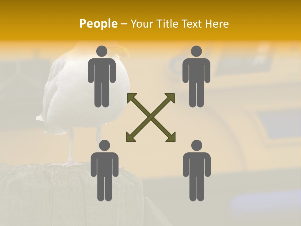 Board Chair Happy PowerPoint Template