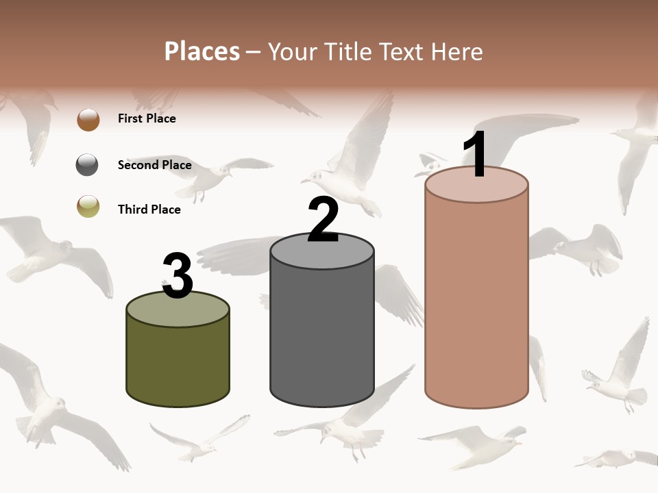 Motion Closeup Wingspread PowerPoint Template