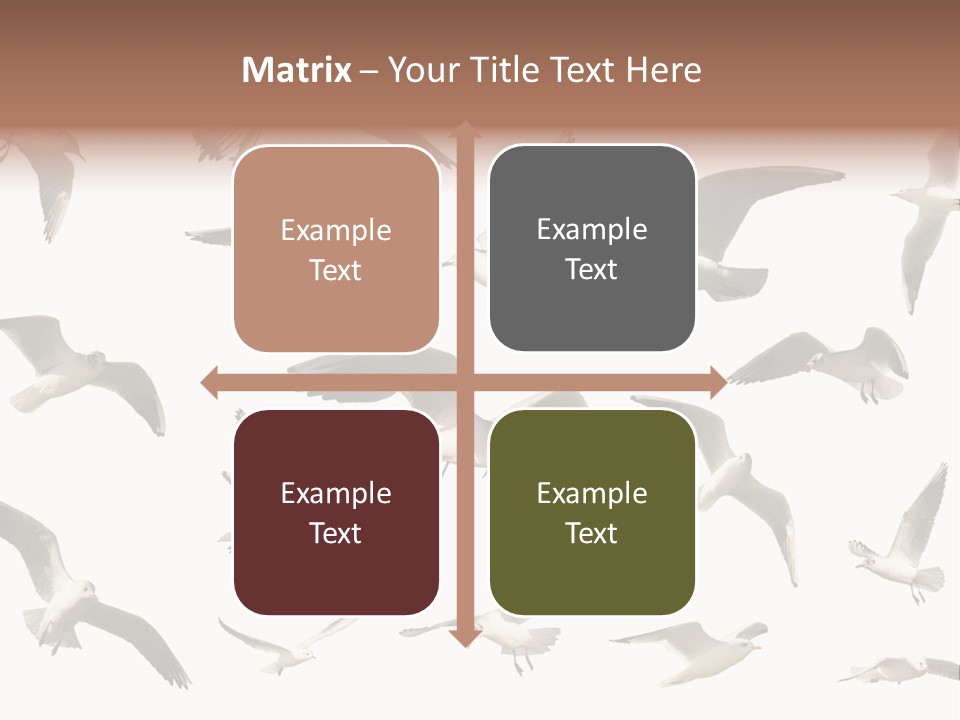 Motion Closeup Wingspread PowerPoint Template