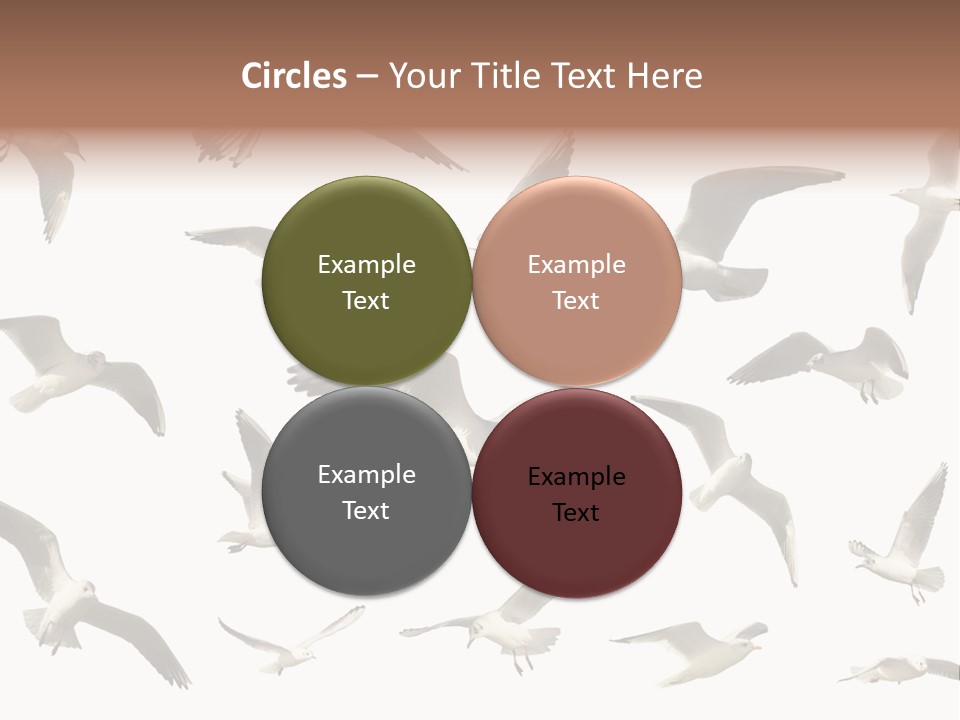 Motion Closeup Wingspread PowerPoint Template