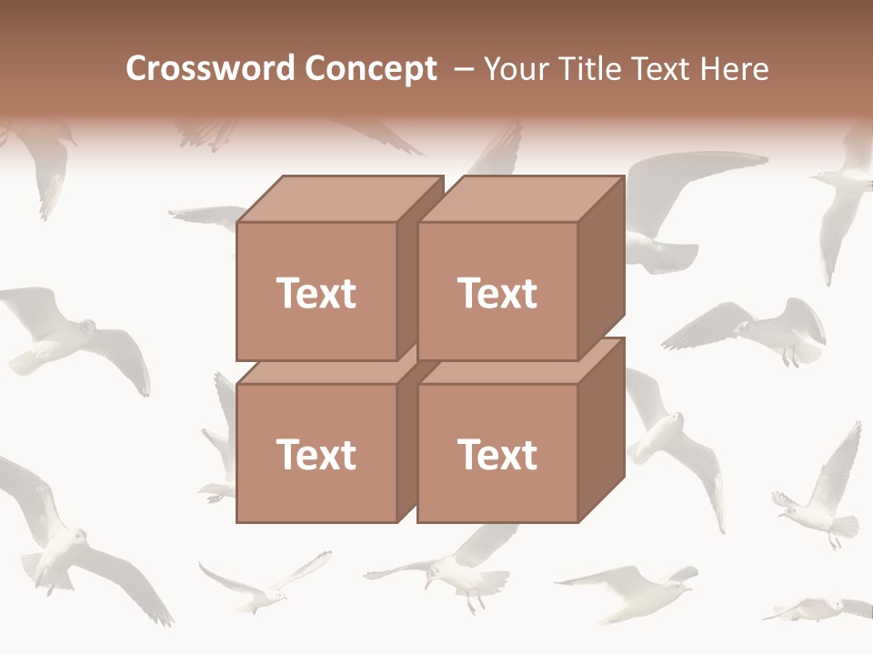 Motion Closeup Wingspread PowerPoint Template