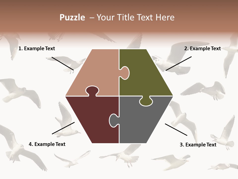 Motion Closeup Wingspread PowerPoint Template