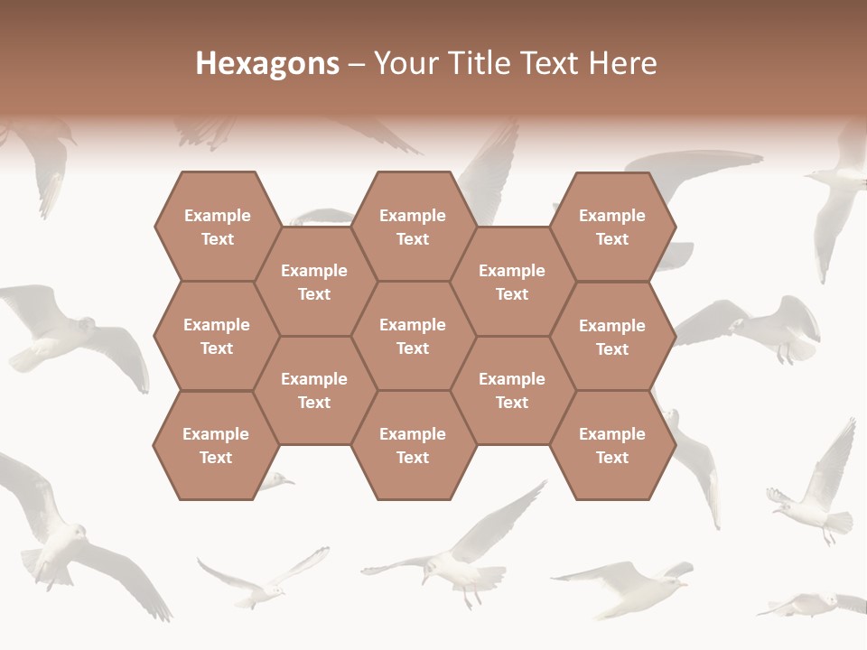 Motion Closeup Wingspread PowerPoint Template