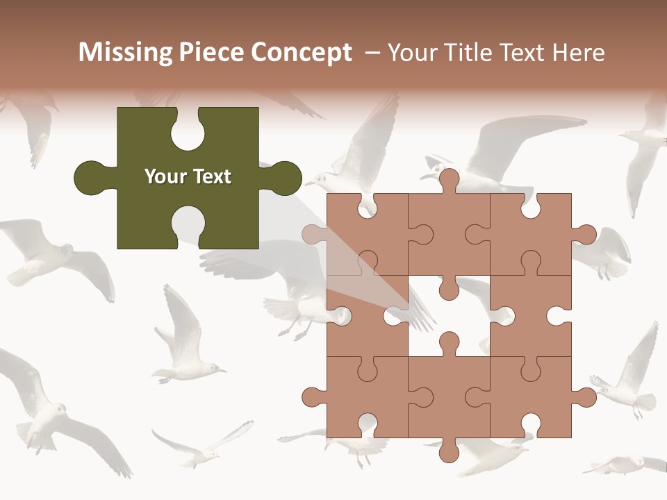 Motion Closeup Wingspread PowerPoint Template