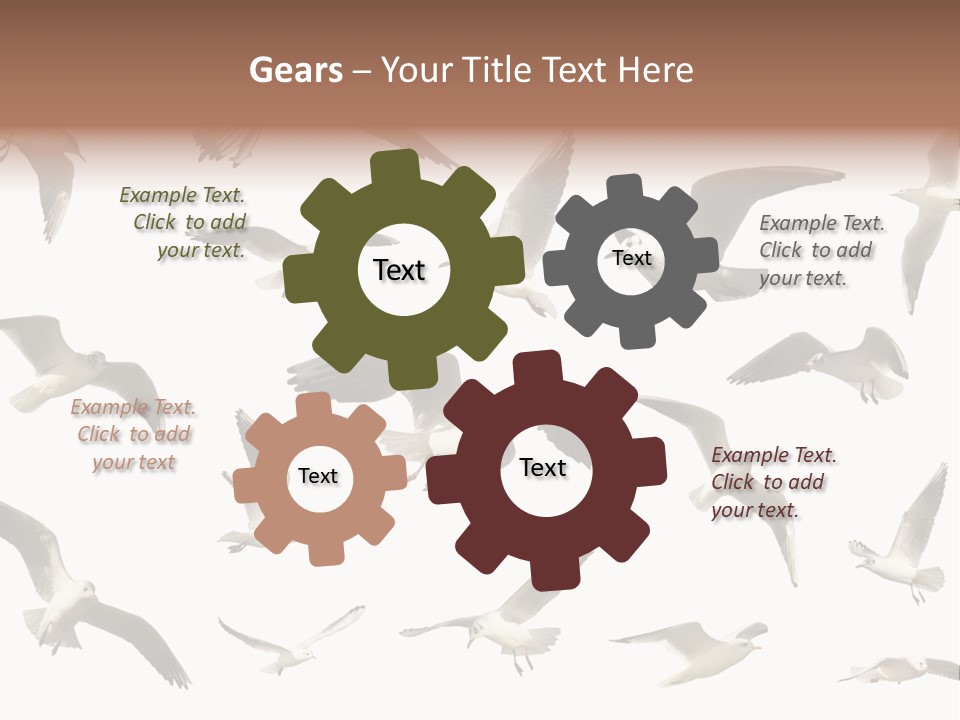 Motion Closeup Wingspread PowerPoint Template